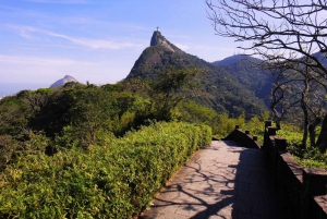 Santa Teresa & Tijuca Forest Private Tour - by Alan Denis