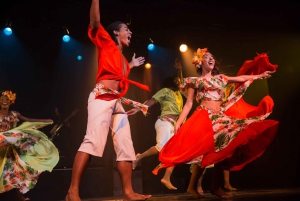 Rio de Janeiro: Rhythms and Roots Tropical Carnival Show