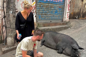 Rio de Janeiro: Rocinha Favela guided tour