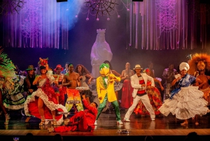 Rio de Janeiro: Samba Show Admission & Transfer