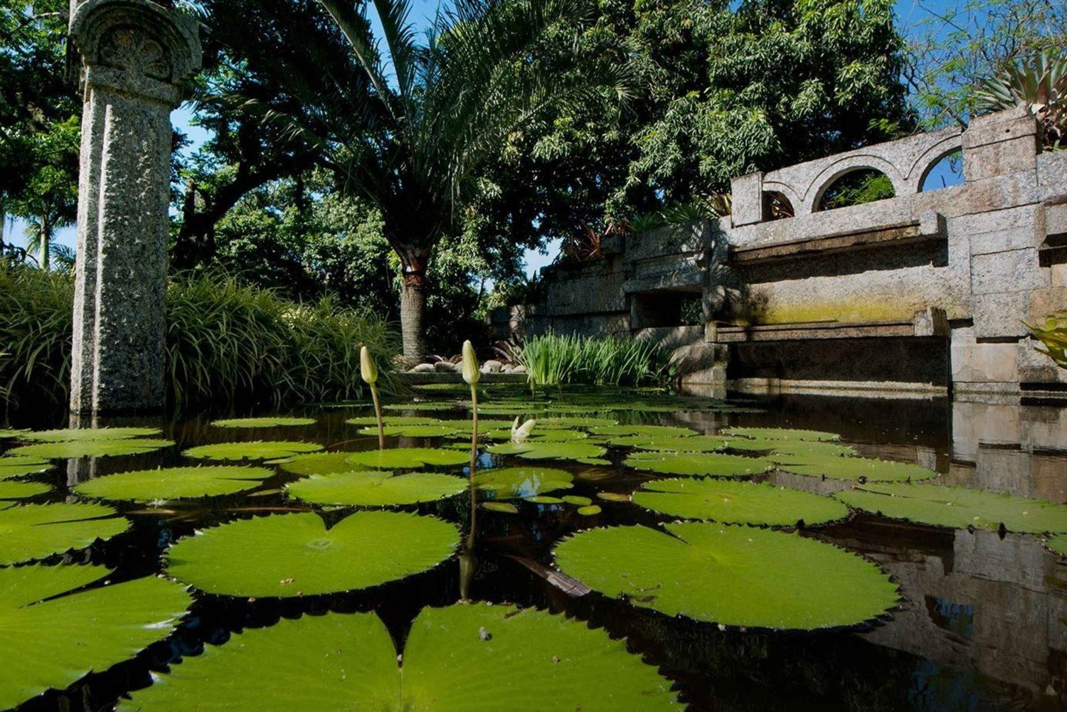 Rio de Janeiro: Sitio Roberto Burle Marx Guided Tour