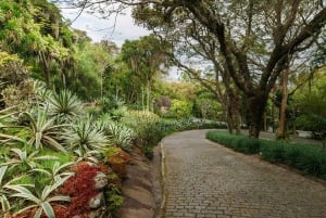 Rio de Janeiro: Sitio Roberto Burle Marx Guided Tour