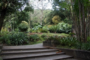 Rio de Janeiro: Sitio Roberto Burle Marx Guided Tour