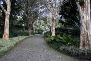 Rio de Janeiro: Sitio Roberto Burle Marx Guided Tour