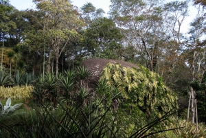 Rio de Janeiro: Sitio Roberto Burle Marx Guided Tour