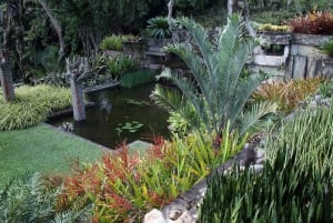 Rio de Janeiro: Sitio Roberto Burle Marx Guided Tour