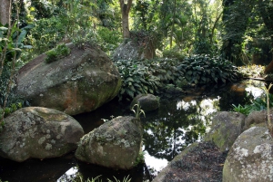 Rio de Janeiro: Sitio Roberto Burle Marx Guided Tour