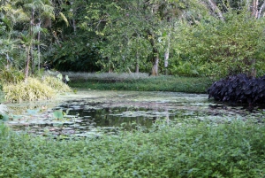 Rio de Janeiro: Sitio Roberto Burle Marx Guided Tour