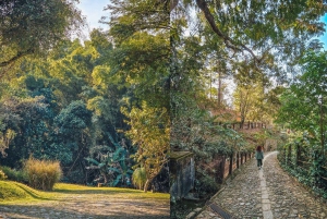 Rio de Janeiro State: Uaná Etê Cultural Gardens Entry Ticket