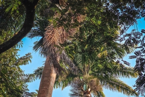 Rio de Janeiro State: Uaná Etê Cultural Gardens Entry Ticket