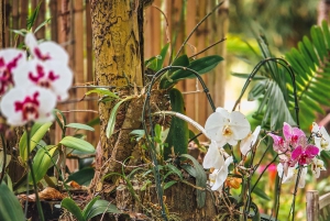 Rio de Janeiro State: Uaná Etê Cultural Gardens Entry Ticket