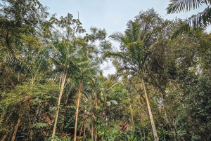 Rio de Janeiro State: Uaná Etê Cultural Gardens Entry Ticket