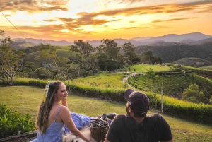 Rio de Janeiro State: Uaná Etê Cultural Gardens Entry Ticket