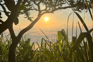 Rio de Janeiro: Two Brothers Sunrise and Sunset Hike Vidigal