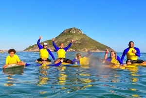 Rio de Janeiro: Surflessons and surfcoach.