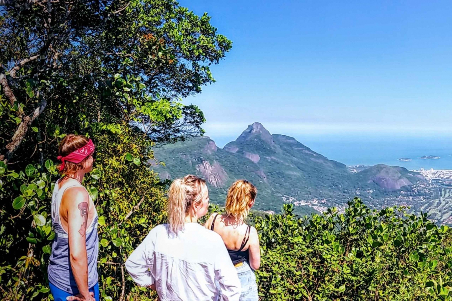 Rio de Janeiro: Tijuca Forest Challenge Hike Full-Day Trip