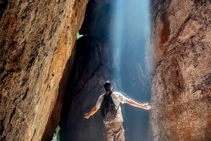 Rio de Janeiro: Tijuca Forest Challenge Hike Full-Day Trip