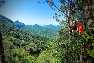 Rio de Janeiro: Tijuca Forest Challenge Hike Full-Day Trip