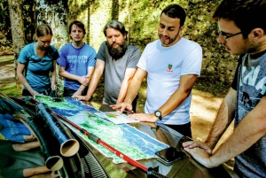 Rio de Janeiro: Tijuca Forest Challenge Hike Full-Day Trip