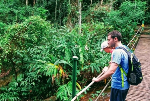 Rio de Janeiro: Tijuca Forest Challenge Hike Full-Day Trip