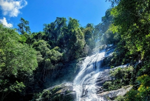 Rio de Janeiro: Tijuca Forest Challenge Hike Full-Day Trip