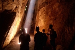 Rio de Janeiro: Tijuca Forest Challenge Hike Full-Day Trip