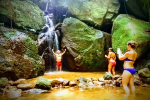 Rio de Janeiro: Tijuca Forest Challenge Hike Full-Day Trip