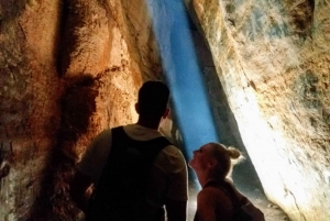 Rio de Janeiro: Tijuca Forest Challenge Hike Full-Day Trip