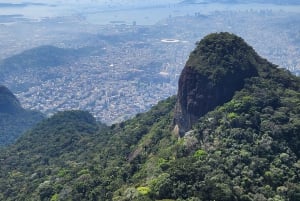 Hike to the highest mountain of Rio with a forest specialist