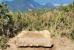 Hike to the highest mountain of Rio with a forest specialist