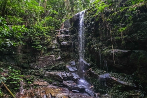 Rio de Janeiro: Tijuca Forest Waterfall of Souls Hike