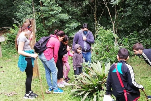 Rio de Janeiro: Tijuca Forest Waterfall of Souls Hike