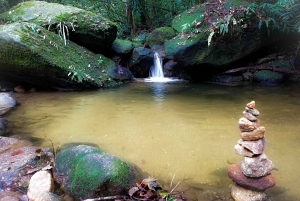 Rio de Janeiro: Tijuca Forest Waterfall of Souls Hike
