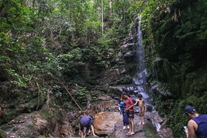 Rio de Janeiro: Tijuca Forest Waterfall of Souls Hike