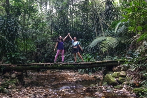 Rio de Janeiro: Tijuca Forest Waterfall of Souls Hike
