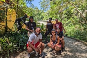 Rio de Janeiro: Tijuca Forest Waterfall of Souls Hike