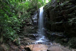 Rio de Janeiro: Tijuca National Park EcoTour