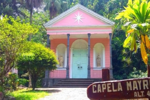 Rio de Janeiro: Tijuca National Park EcoTour