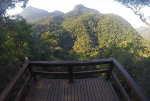 Rio de Janeiro: Tijuca National Park EcoTour