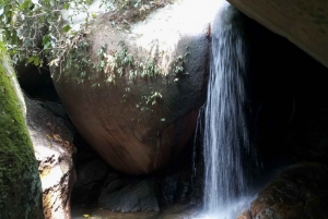 Rio de Janeiro: Tijuca National Park EcoTour