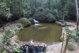 Rio de Janeiro: Tijuca National Park EcoTour