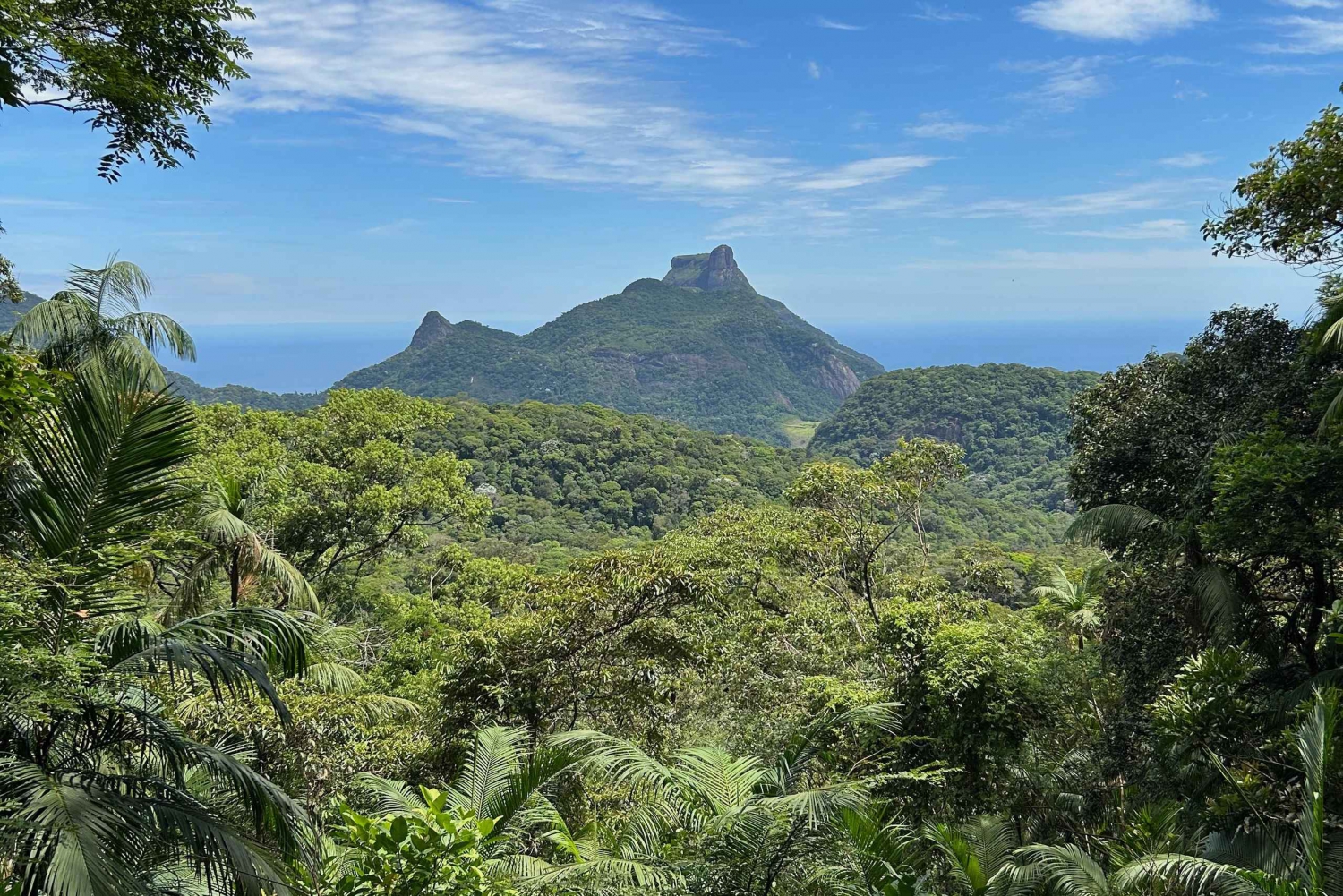 Rio de Janeiro: Tijuca National Park Tour