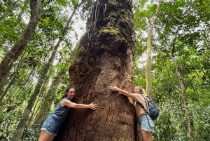 Rio de Janeiro: Tijuca National Park Tour