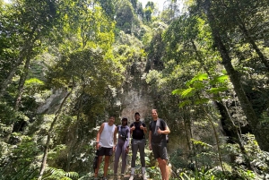 Rio de Janeiro: Tijuca National Park Tour