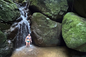 Rio de Janeiro: Tijuca National Park Tour