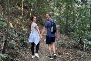 Rio de Janeiro: Tijuca National Park Tour