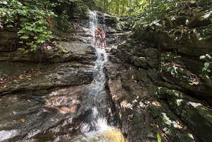 Rio de Janeiro: Tijuca National Park Tour