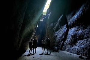 Rio de Janeiro: Tijuca National Park Tour