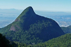 Rio de Janeiro: Tijuca Peak Guided Hike