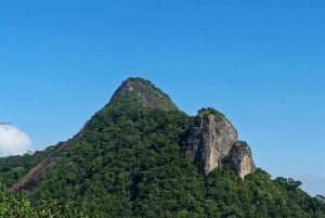 Rio de Janeiro: Tijuca Peak Guided Hike